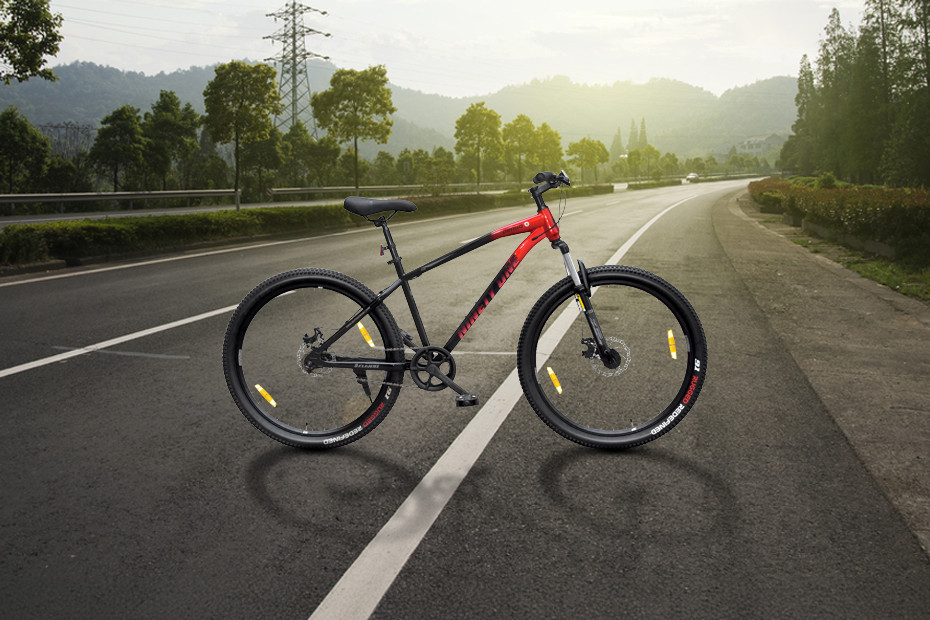 Ninety One Drago29T Single Speed Ninety One Drago29T Single Speed