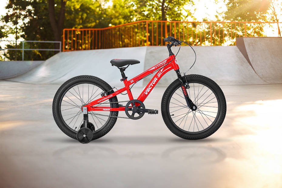 BSA Go Biking Front Disk 20T vs Ninety One Frenzy20T